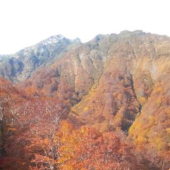 谷川岳の画像 by ハッピーさん | お出かけ先と季節を感じる♪と不思議な力と自然の営みと大好き群馬と谷川岳