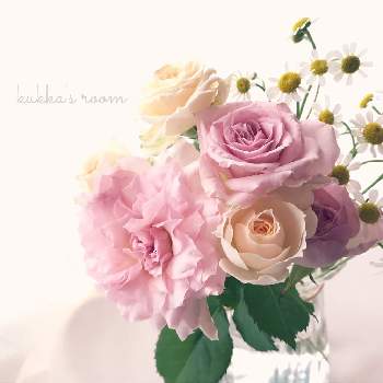 花瓶合わせの画像 by kukkaさん | 部屋とマトリカリアとバラと逆光とピンクの花と水曜ローズショーと小花会と癒しと切り花を楽しむと花を飾ると穏やかな心ときれいな色とナチュラルスタイルと花のある暮らしと花瓶合わせと小さな花と優しい色と切り花