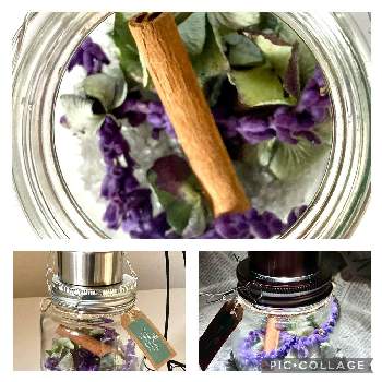 秋色アジサイの画像 by lavenderさん | インテリアとアメジストセージと秋色アジサイと雪国と耐寒