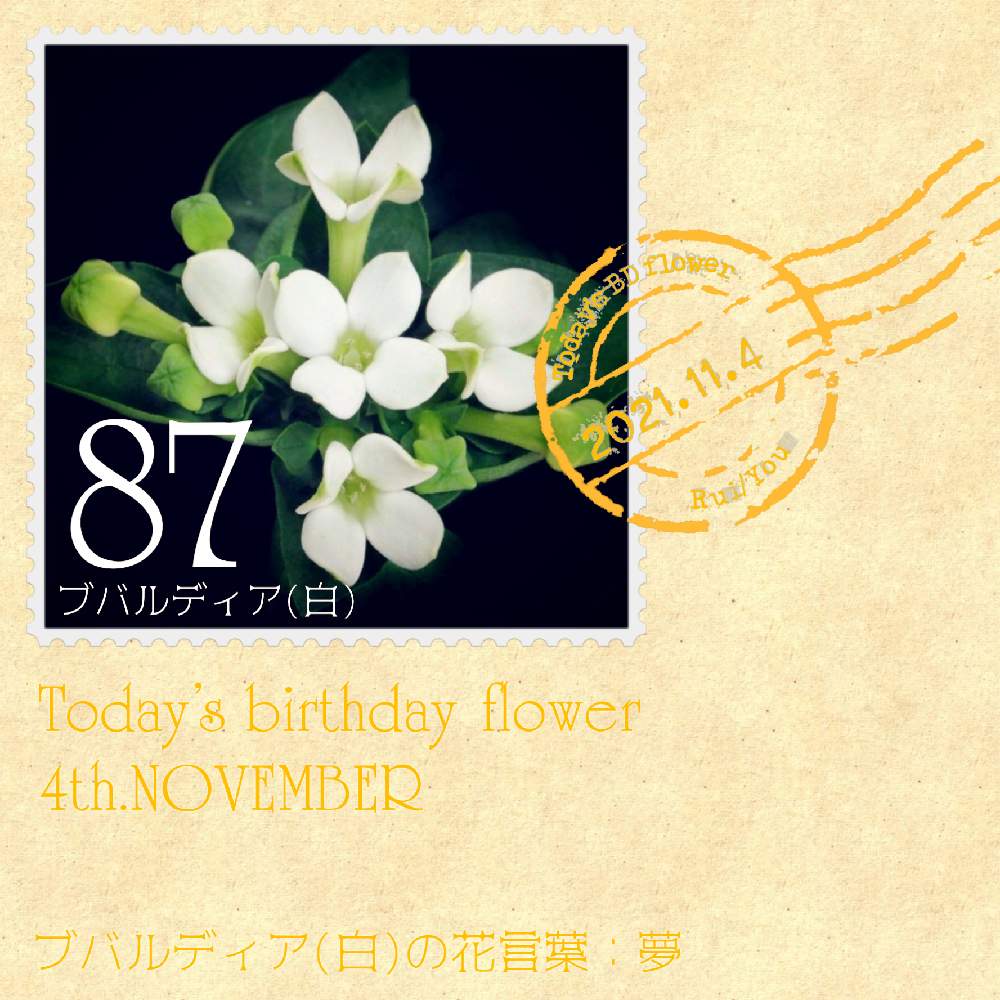 ブバルディアの投稿画像 By 黝 ユウ W 体調不良執筆再開さん 誕生花seriesと花好きバンドマンと花切手とお写んぽと誕生花と誕生花 切手シリーズと白い花 21月11月4日 Greensnap グリーンスナップ ブバルディアの投稿画像 By 黝 ユウ W 体調不良執筆再開さん 誕生花seriesと花好きバンドマンと花切手とお写んぽと誕生花と誕生花 切手シリーズと白い花 21月11月4日 Greensnap グリーンスナップ