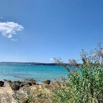 青い海の画像 by ピーモモさん | お出かけ先とヨシと海&ヨシと青空と花のある暮らしと沖縄と青い海