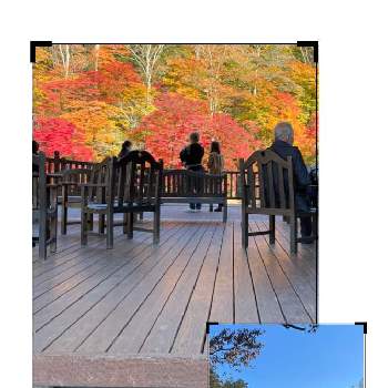 まぶしぃの画像 by ヨウコさん | 紅葉の季節と那須塩原と日本を元気に♡とまぶしぃと紅葉に魅せられて
