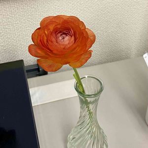 ラナンキュラス,切り花,初心者,花のある暮らし,千葉県の画像
