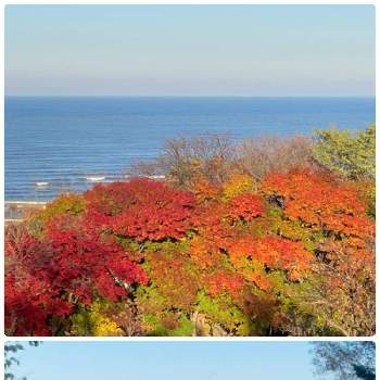 北海道の秋の画像 by 空色さん | お出かけ先と北海道の景色と秋の北海道と紅葉（こうよう）と北海道の秋と北海道と海と紅葉と北海道の自然