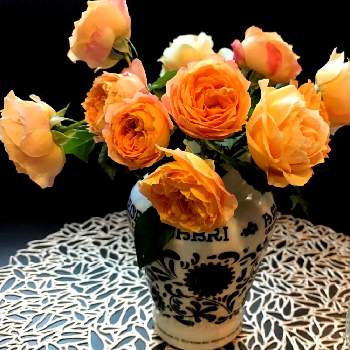 ラドルチェヴィータ　バラの画像 by ミレイさん | 小さな庭とバラ　ラドルチェヴィータとオレンジのバラとばら バラ 薔薇とラドルチェヴィータ　バラとデルパールローズ