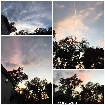 飛行機雲の画像 by poohさん | 小さな庭とヤドリギとキュンキュン乙女倶楽部とビューティフルサンデーと雲仲間と綺麗と飛行機雲と雲が好きと素敵