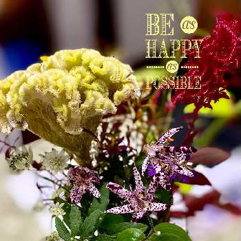 ホトトギス 松風の画像 by ピコさん | デスクとホトトギス 松風とケイトウと秋のお花と切り花を楽しむとGS映えと美しい♡と元気もらえると花いろいろとフラワーアレンジメントと花のある暮らしと花びらの魅力✨といやされるとかわいい❤