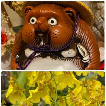 2021タヌキ祭りの画像 by ハナミズキさん | エントランスと花のある暮らしと季節のお花と2021タヌキ祭り