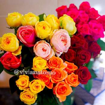 いいね&フォローありがとうございます:)の画像 by vivianatomoさん | 部屋と#切り花といいね&フォローありがとうございます:)とGS映えと今日の一枚とflowerとThanksと君も花が好きなのかと花のある暮らしとかわいいとお花好きと花束