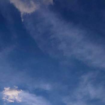 Nightfallの画像 by ❦THE HERMIT❦さん | お出かけ先とススキと夕焼けと刹那さと癒されと茜色と葉っぱと元気❗❗と黄昏時❦とサンセットと本来の色と秘密のpicとシルエット❤︎とヒカリとNightfallと風の中と雲雲雲