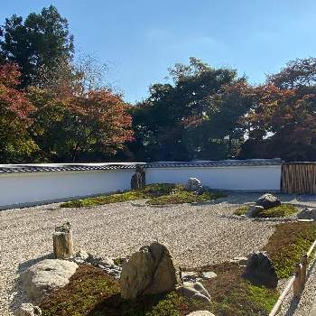 お寺のお庭の画像 by 花＊花さん | お出かけ先と季節を感じてと青空に映えてとお寺のお庭とシャッターチャンス！