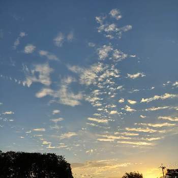 早朝の空の画像 by ゴン母さん | お出かけ先と早朝の空と雲仲間