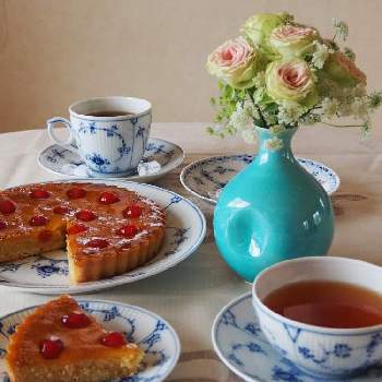 和薔薇,おへやで育てるばら,和バラファン,和薔薇倶楽部,和バラ　そよの画像