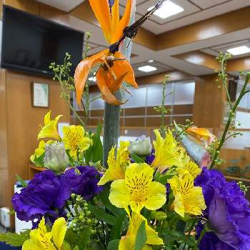 トルコ桔梗の画像 by シゲちゃんさん | アルストロメリアとストレリチア 極楽鳥花とトルコ桔梗