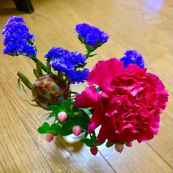 リューカデンドロン・プルモサスの画像 by Toshieさん | 部屋とカーネーション♡とヒベリカムの実とお花の定期便とリューカデンドロン・プルモサスとGSミニモニ。と花のある暮らしと被災地にエールを…。とお花は癒しと リューカデンドロン*と楽しい！とスターチス♪とブルーミー(bloomee)