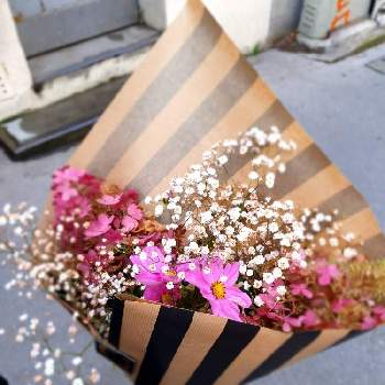 ピンク系の紫陽花の画像 by miyu_miyuさん | お出かけ先とコスモスとかすみ草とピンク系の紫陽花とブーケと街角とはなのある暮らし