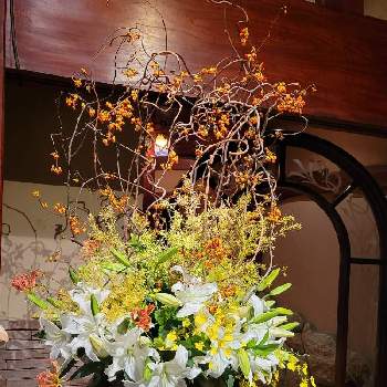 私の花暦の画像 by ブルーフェアリーさん | アプローチとアプローチ　装花と神奈川県と私の花アルバムと私の花暦