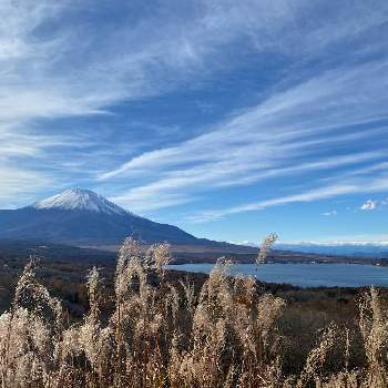 すすきのある景色の画像 by 　hideさん | お出かけ先と空と富士山と富士山とすすきのある景色と流れる雲と陽のあたる場所と植物好きに俺はなると太陽の光を浴びてと素敵な1日をと美しい富士山と存在感