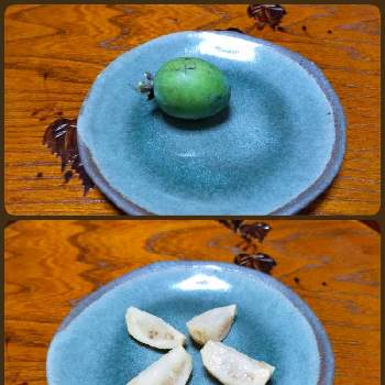 食べてみたの画像 by ゆんさん | お出かけ先とフェイジョア（の果実）と食べてみた