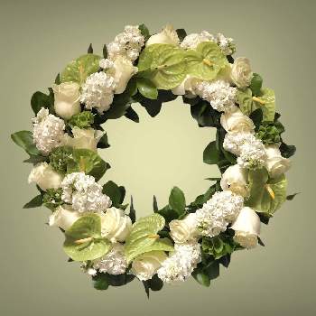 フラワーデザイナーの画像 by F.O.Tさん | フラワーアーティストとばら バラ 薔薇と美しい花とフラワーデザイナーとリースと花のある暮らしと白い花とフラワーギフトと切り花とフラワーデザイン