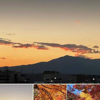 光る雲の画像 by レモン茶さん | バルコニー/ベランダと光る雲と夕焼け空とオレンジ色♪と雲仲間と紅葉（こうよう）と真っ赤