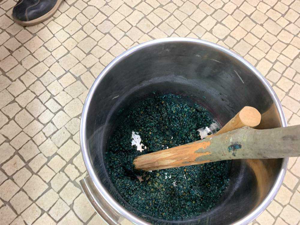 草木染(臭木の実染)　 茜1,臭木2,玉ねぎ1 4枚のセットになります。 1636897636292_489016_photo.jpg