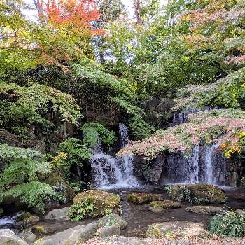 滝 たきの画像 by ヒロシさん | お出かけ先と緑の葉と紅葉♡と滝 たき
