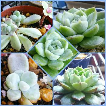 G2wht73k0pjqpm G2wht73k0pjqpm