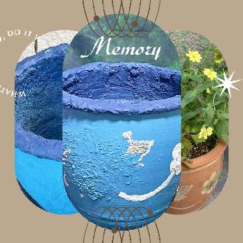 コンクリート鉢の画像 by Hot  Memoryさん | 部屋とリメイク鉢とコンクリート鉢と手作りセメント鉢とおうち園芸