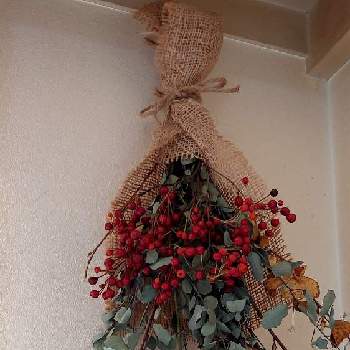野バラの実の画像 by ゴン母さん | 部屋と？の枝と野バラの実とユーカリ グニーとお遊びとスワッグ作り