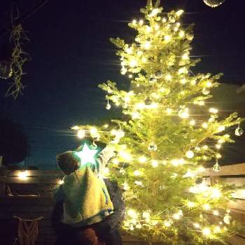 写真上手くなりたいの画像 by mikiさん | 小さな庭ともみの木とクリスマスツリーと観葉植物とCHRISTMASと写真上手くなりたいとクリスマス