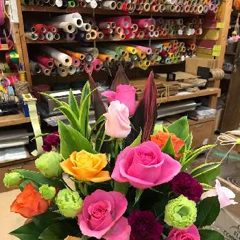 街のお花屋さんの投稿画像一覧 Greensnap グリーンスナップ 街のお花屋さんの投稿画像一覧 Greensnap グリーンスナップ