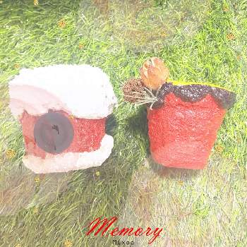 コンクリート鉢の画像 by Hot  Memoryさん | インテリアとリメイク鉢とコンクリート鉢と手作りセメント鉢