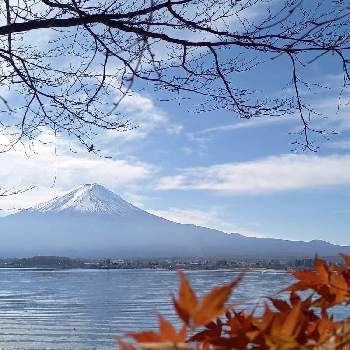 河口湖の画像 by ななみんさん | お出かけ先と 富士山と紅葉と河口湖と癒される♡