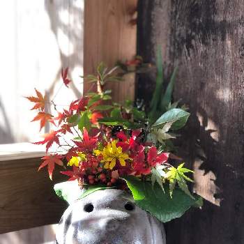 ♡季節の花を生ける♡の画像 by ランさん | お出かけ先と紅葉（こうよう）と♡季節の花を生ける♡