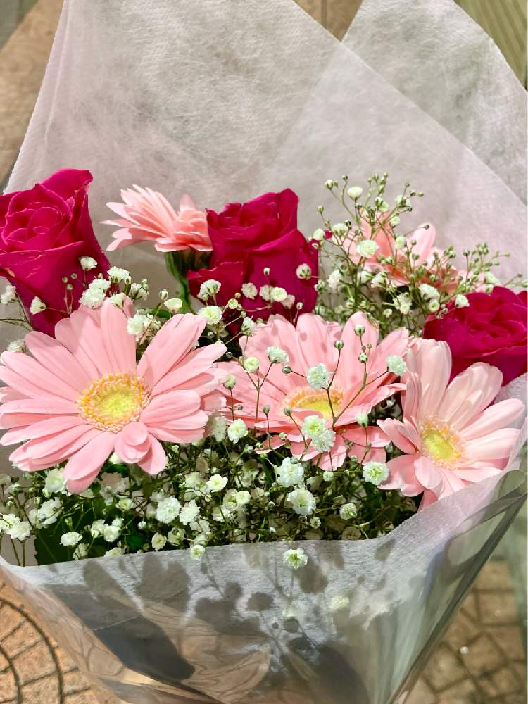 お出かけ先の画像 by ヤンビビさん | お出かけ先とピンクの花とヤンビビ雑記帳とザ・青春とユーミンつながりの皆さんに感謝と赤い花