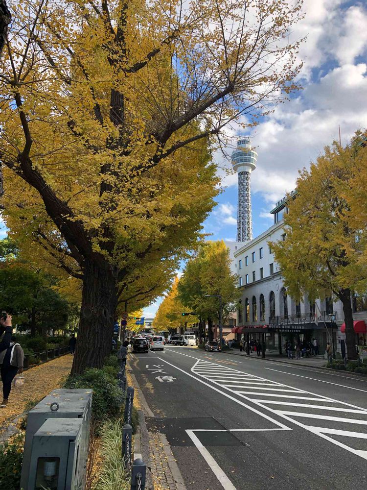 akikoさんの山下公園への投稿