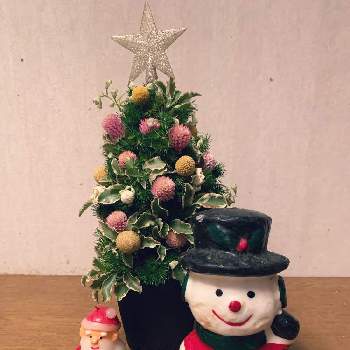 手作りツリーの画像 by ももマルシェさん | 玄関と千日紅とグリーンのある暮らしとクリスマスの準備と手作りツリーとクリスマスアレンジとミニツリー