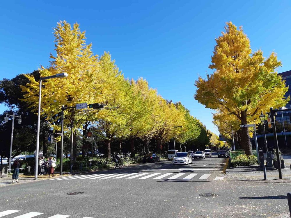 らみーさんの山下公園への投稿