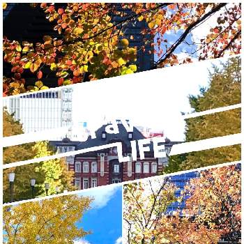 紅葉の秋の画像 by さくらさん | お出かけ先と紅葉の木々と秋の気配と紅葉の秋と東京駅と 紅葉