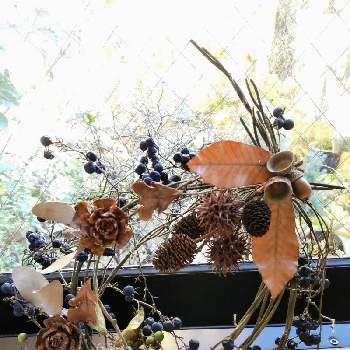 再生工房の画像 by よっちえさん | 窓辺とツヅラフジ。とシダーローズ(ヒマラヤスギ)とリース素材と再生工房とモミジバフウの実＊とツヅラフジリースとリースとツル性植物と秋の実とヤシャブシの実