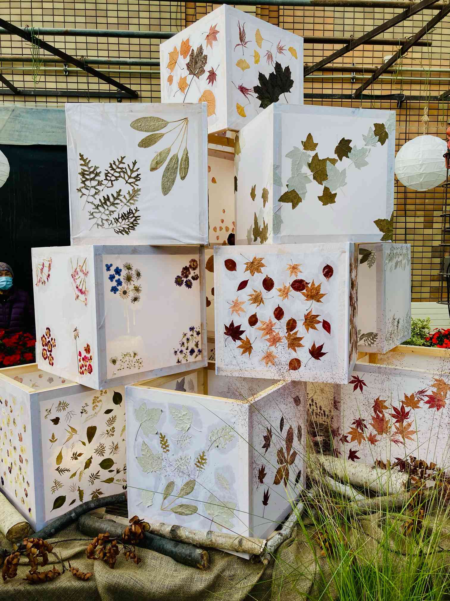 押し花のランプシェードとスワッグ｜🍀GreenSnap（グリーンスナップ）