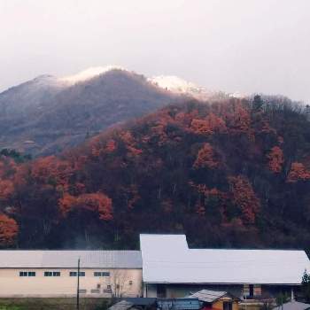 田舎の風景の画像 by やぎ座さん | 田舎の風景と新潟県
