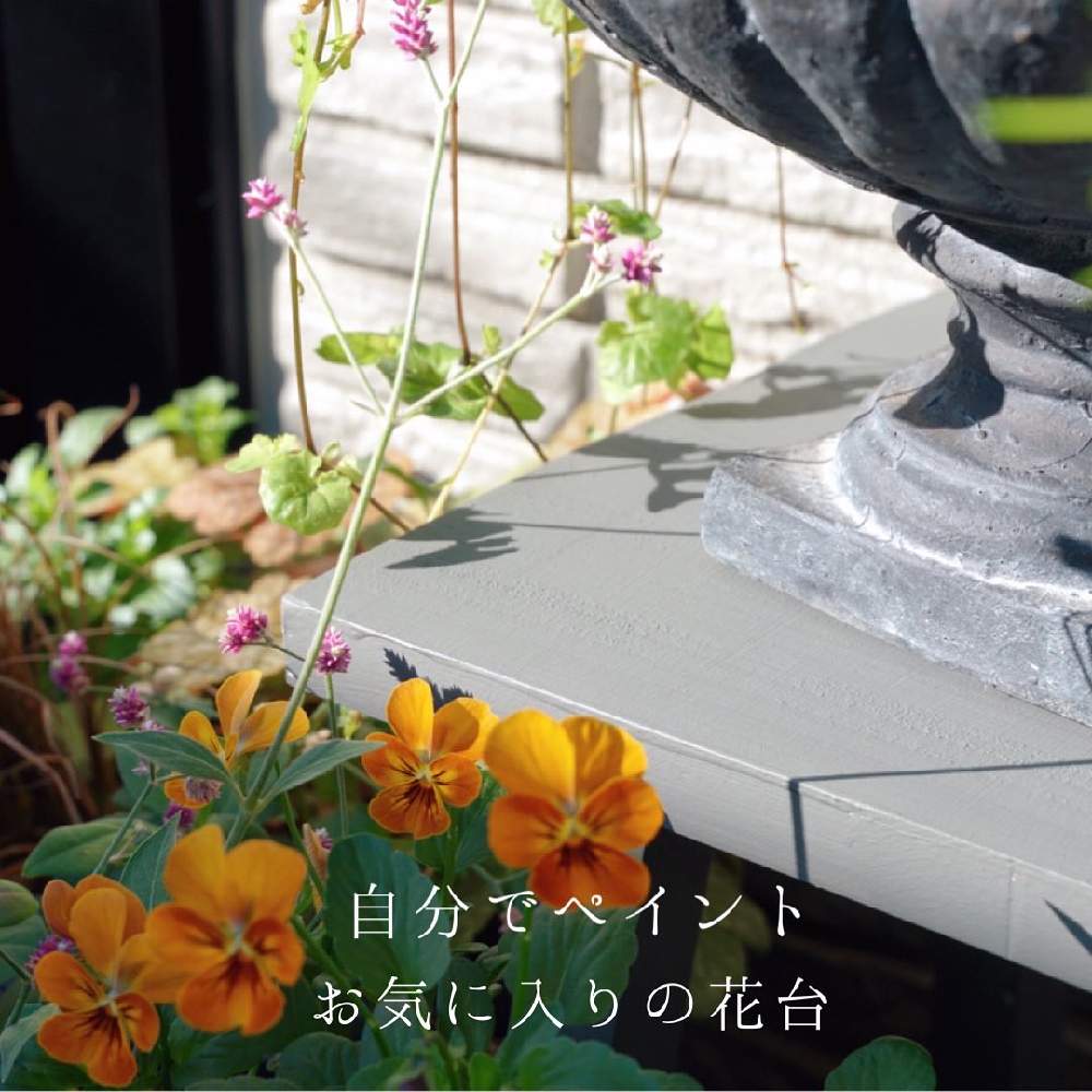 ビオラの投稿画像 By 凛花さん アルテルナンテラ アルテミスと寄せ植えとアンティークとベランダガーデニングと寄せ植え初心者とベランダガーデンと今日のお花と花のある暮らしとシャビーシックと大好きビオラと寄せ植えとアンティークとベランダガーデニングと寄せ植え
