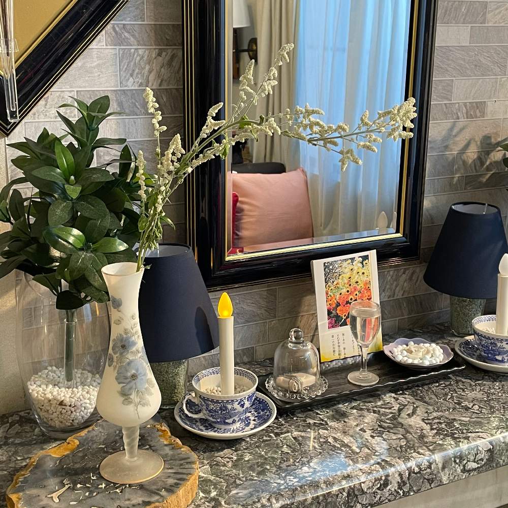 シルバーキャット アエルバ の投稿画像 By Grace Placeさん インテリアと花言葉と花のある暮らしと誕生花とgs映えと花言葉と花 のある暮らしと誕生花とgs映え 21月11月28日 Greensnap グリーンスナップ Greensnap グリーンスナップ