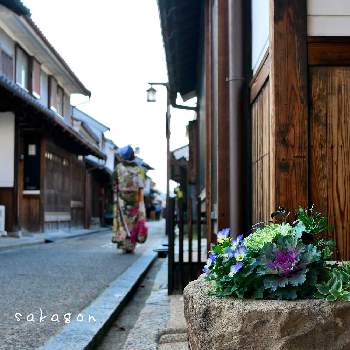 今井町の画像 by sakagonさん | お出かけ先とビオラと葉牡丹と奈良と古道具と今井町