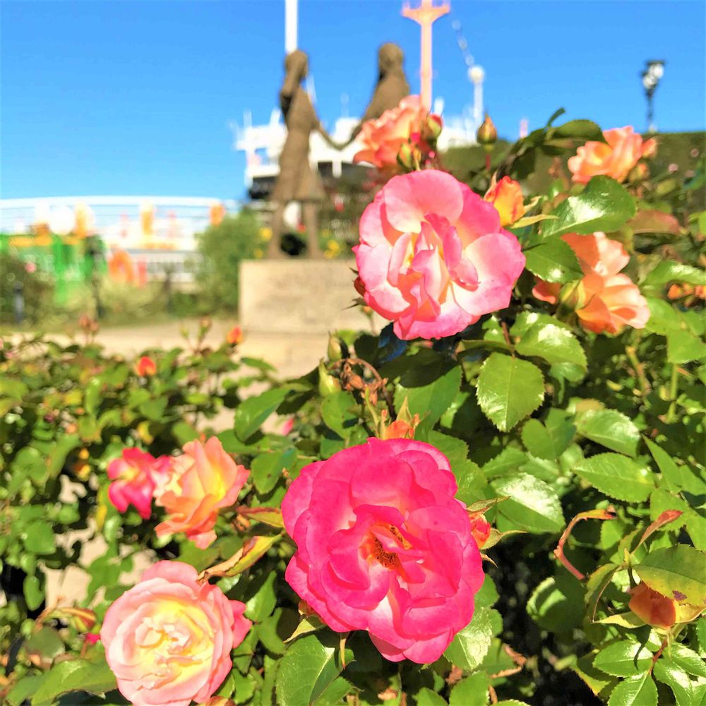 【公式】ガーデンネックレス横浜さんの山下公園への投稿