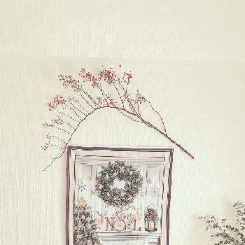 野バラの実の画像 by Mさん | インテリアと野バラの実