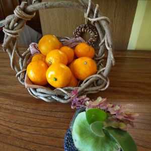 みかん,コウモリラン,カリシア,果物,着生植物の画像
