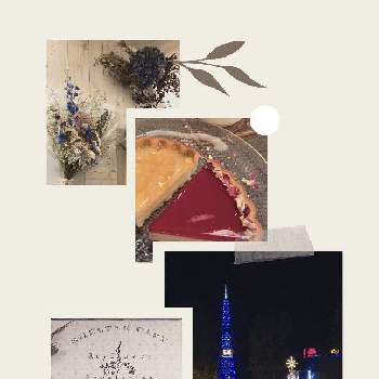 エディブルフラワーの画像 by rosa sさん | お出かけ先とミントとレモンのタルトとドライフラワーいろいろとローズのタルトとエディブルフラワーとカフェとイルミネーションと北海道